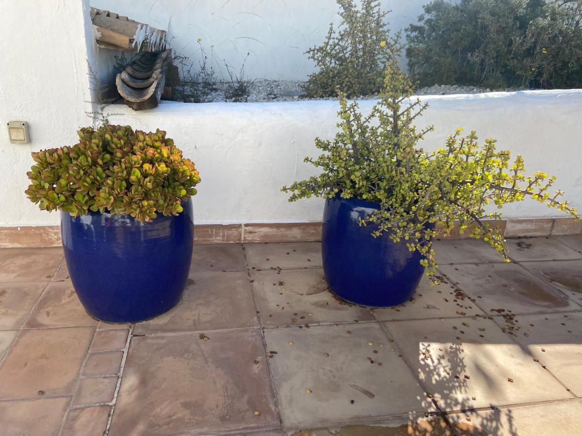 Jávea Esterno foto